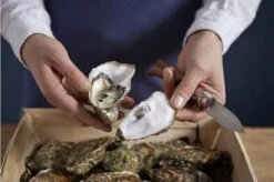 Opinel Oyster Knife No 09 -Opinel OP001616 07 opinel oestermes op001616 08