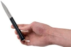 Opinel Intempora Peeling Knife No. 225, 8 Cm -Opinel OP002225 06 opinel intempora