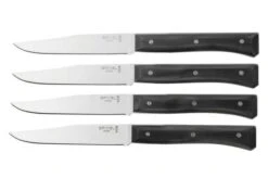 Opinel Facette Slate, Micro-serrated Table Knife Set 4 Pieces