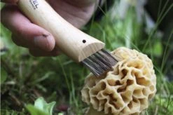 Opinel Mushroom Knife N ° 08 -Opinel OP08 06 opinel champignonmes op08 08