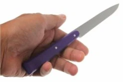 Opinel T001532, Steak Knife Set, Esprit Pop 9 Opinel T001532, Steak Knife Set, Esprit Pop -Opinel OPT001532 04 opinel tafelmesset esprit pop opt001532 d4