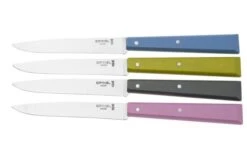 Opinel T001533, Steak Knife Set, Esprit Campagne