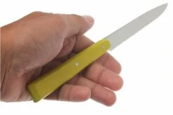 Opinel T001533, Steak Knife Set, Esprit Campagne -Opinel OPT001533 04 opinel tafelmesset esprit campagne opt001533 d4