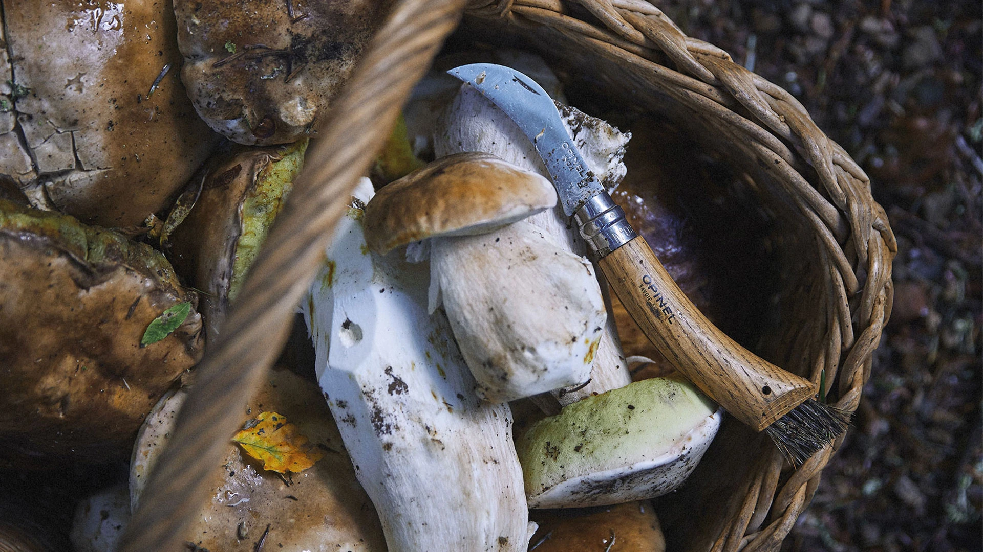 Front Page 1 Front Page -Opinel bf7158478fd3e6dbae0007998361.jpg